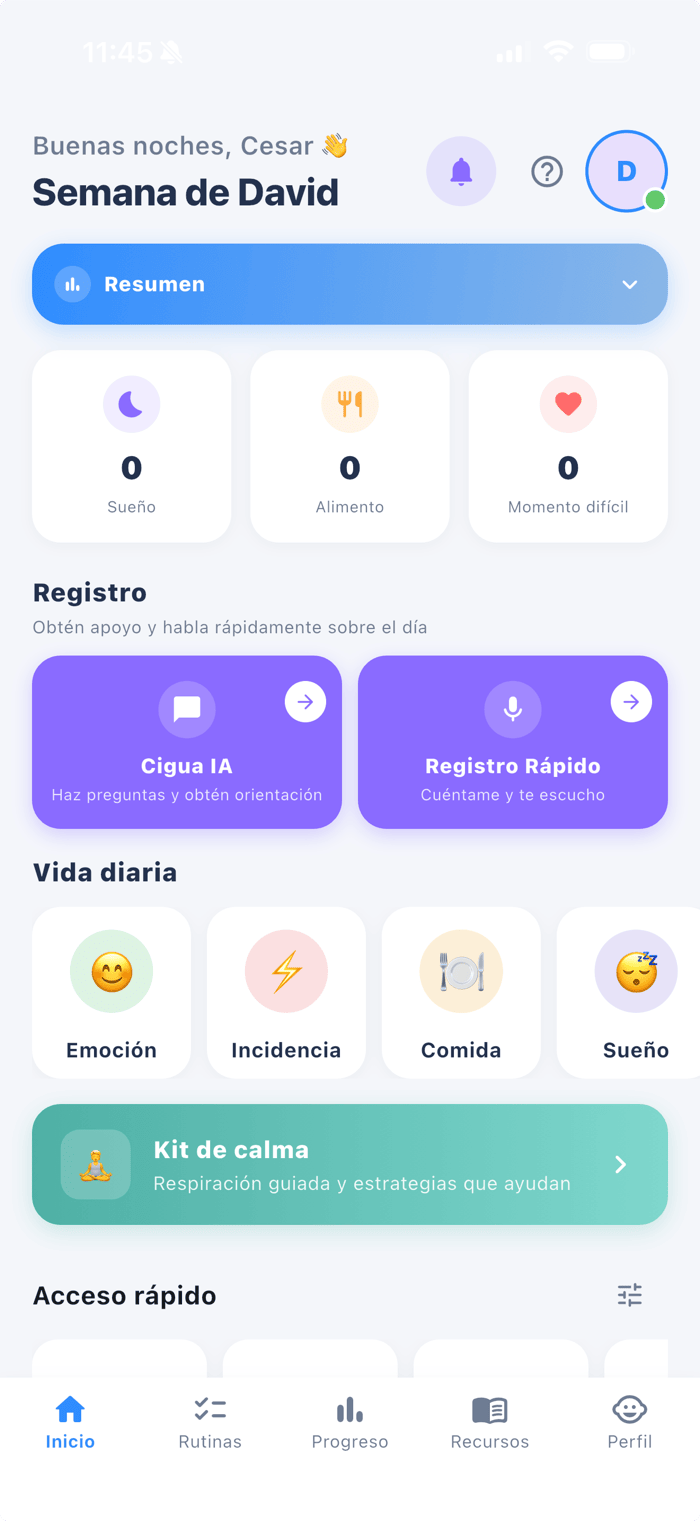 Pantalla real de inicio y registro diario en DEDE